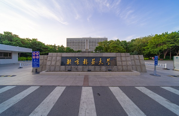 从化区大学托福培训